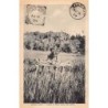 Rare collectable postcards of TANZANIA. Vintage Postcards of TANZANIA