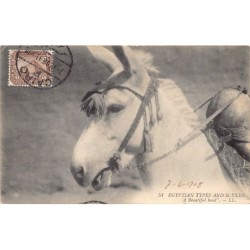Rare collectable postcards of EGYPT. Vintage Postcards of EGYPT