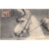 Rare collectable postcards of EGYPT. Vintage Postcards of EGYPT