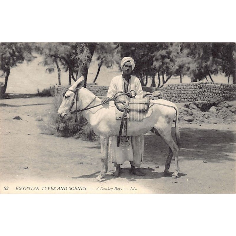 Rare collectable postcards of EGYPT. Vintage Postcards of EGYPT