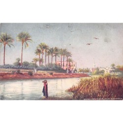 Rare collectable postcards of EGYPT. Vintage Postcards of EGYPT