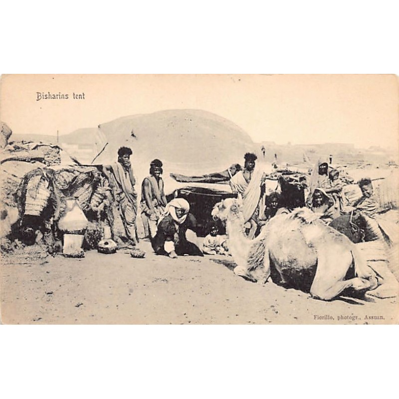 Rare collectable postcards of EGYPT. Vintage Postcards of EGYPT