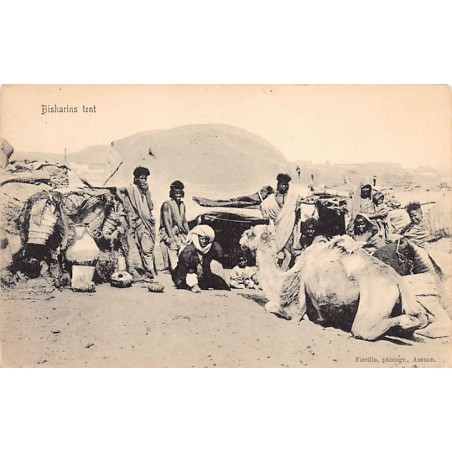 Rare collectable postcards of EGYPT. Vintage Postcards of EGYPT