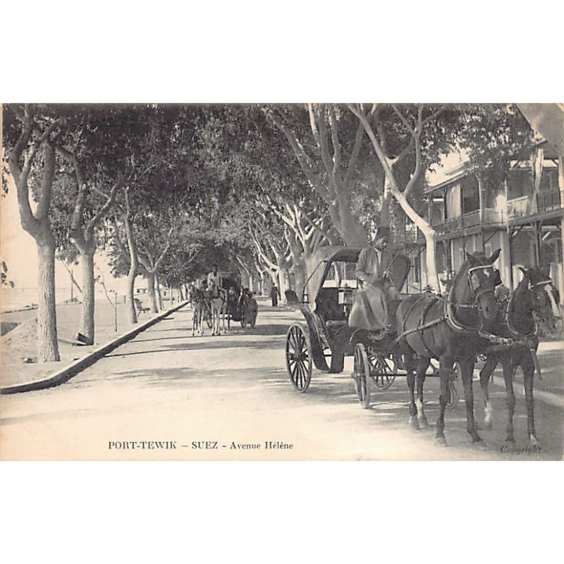 Rare collectable postcards of EGYPT. Vintage Postcards of EGYPT