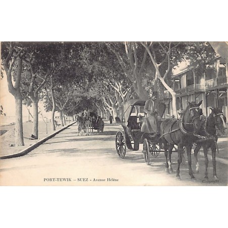 Rare collectable postcards of EGYPT. Vintage Postcards of EGYPT