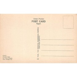 Rare collectable postcards of EGYPT. Vintage Postcards of EGYPT