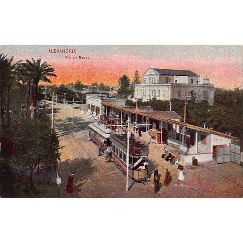 Rare collectable postcards of EGYPT. Vintage Postcards of EGYPT