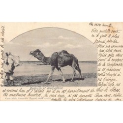Rare collectable postcards of EGYPT. Vintage Postcards of EGYPT