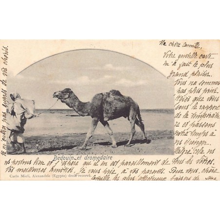 Rare collectable postcards of EGYPT. Vintage Postcards of EGYPT