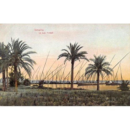 Rare collectable postcards of EGYPT. Vintage Postcards of EGYPT