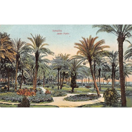 Rare collectable postcards of EGYPT. Vintage Postcards of EGYPT