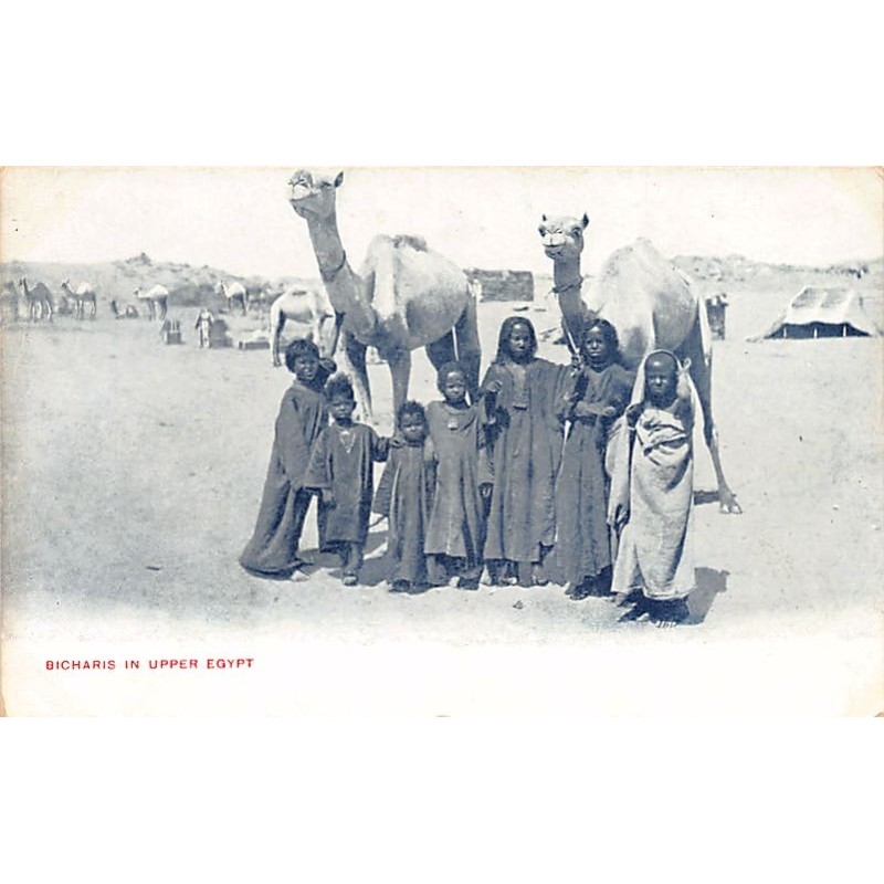 Rare collectable postcards of EGYPT. Vintage Postcards of EGYPT