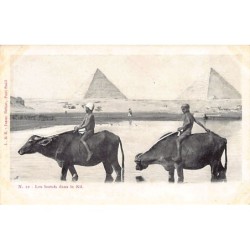 Rare collectable postcards of EGYPT. Vintage Postcards of EGYPT