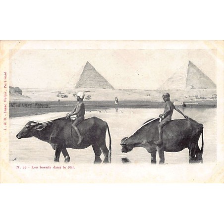 Rare collectable postcards of EGYPT. Vintage Postcards of EGYPT