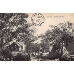 Rare collectable postcards of MADAGASCAR. Vintage Postcards of MADAGASCAR