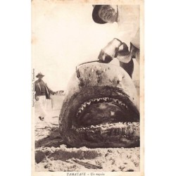 Rare collectable postcards of MADAGASCAR. Vintage Postcards of MADAGASCAR