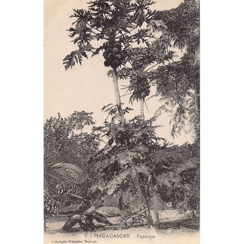 Rare collectable postcards of MADAGASCAR. Vintage Postcards of MADAGASCAR