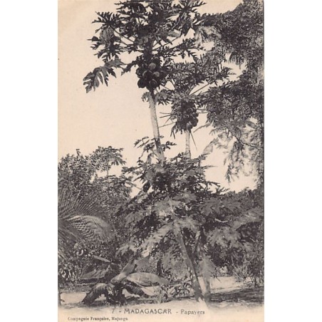 Rare collectable postcards of MADAGASCAR. Vintage Postcards of MADAGASCAR