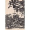 Rare collectable postcards of MADAGASCAR. Vintage Postcards of MADAGASCAR