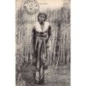 Rare collectable postcards of MADAGASCAR. Vintage Postcards of MADAGASCAR