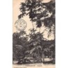 Rare collectable postcards of MADAGASCAR. Vintage Postcards of MADAGASCAR