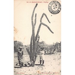 Rare collectable postcards of MADAGASCAR. Vintage Postcards of MADAGASCAR