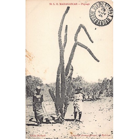 Rare collectable postcards of MADAGASCAR. Vintage Postcards of MADAGASCAR
