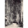 Rare collectable postcards of MADAGASCAR. Vintage Postcards of MADAGASCAR