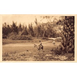 Rare collectable postcards of SENEGAL. Vintage Postcards of SENEGAL