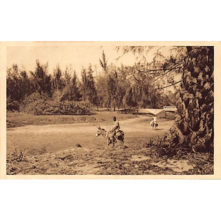 Rare collectable postcards of SENEGAL. Vintage Postcards of SENEGAL