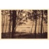 Rare collectable postcards of SENEGAL. Vintage Postcards of SENEGAL