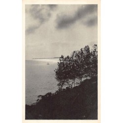 Rare collectable postcards of SENEGAL. Vintage Postcards of SENEGAL