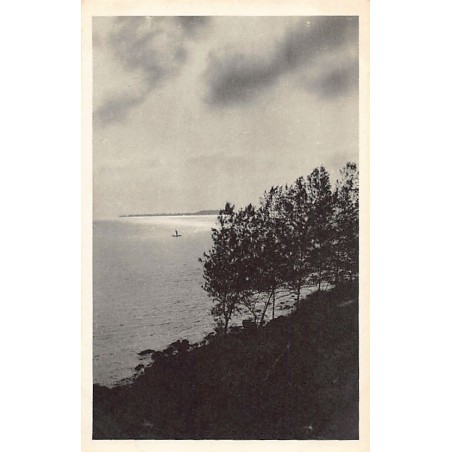 Rare collectable postcards of SENEGAL. Vintage Postcards of SENEGAL