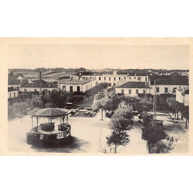 Rare collectable postcards of ALGERIA ALGÉRIE. Vintage Postcards of ALGERIA ALGÉRIE