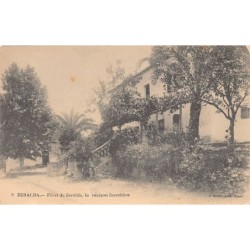 Rare collectable postcards of ALGERIA ALGÉRIE. Vintage Postcards of ALGERIA ALGÉRIE