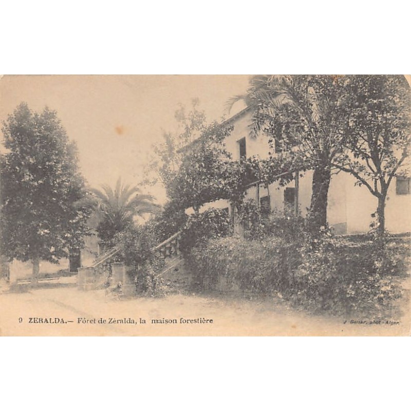 Rare collectable postcards of ALGERIA ALGÉRIE. Vintage Postcards of ALGERIA ALGÉRIE