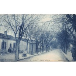 Rare collectable postcards of ALGERIA ALGÉRIE. Vintage Postcards of ALGERIA ALGÉRIE