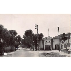 Rare collectable postcards of ALGERIA ALGÉRIE. Vintage Postcards of ALGERIA ALGÉRIE