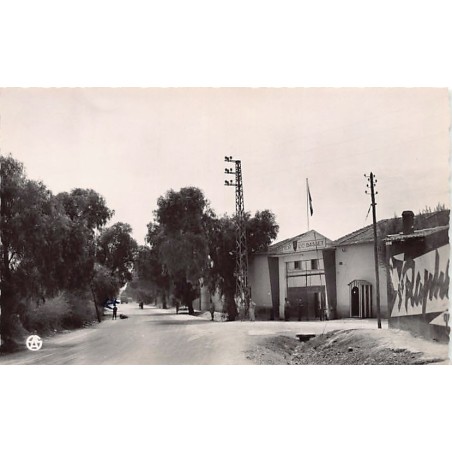 Rare collectable postcards of ALGERIA ALGÉRIE. Vintage Postcards of ALGERIA ALGÉRIE