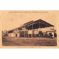 Rare collectable postcards of ALGERIA ALGÉRIE. Vintage Postcards of ALGERIA ALGÉRIE