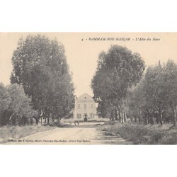 Rare collectable postcards of ALGERIA ALGÉRIE. Vintage Postcards of ALGERIA ALGÉRIE