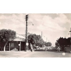 Rare collectable postcards of ALGERIA ALGÉRIE. Vintage Postcards of ALGERIA ALGÉRIE