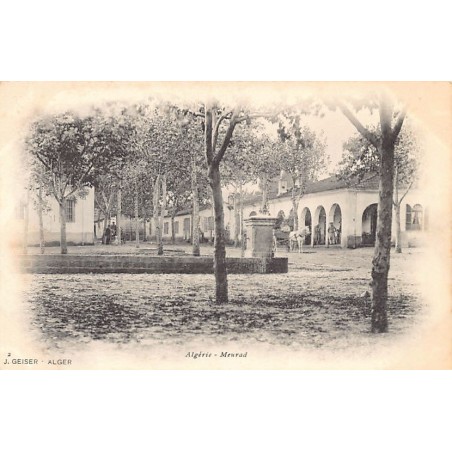 Rare collectable postcards of ALGERIA ALGÉRIE. Vintage Postcards of ALGERIA ALGÉRIE