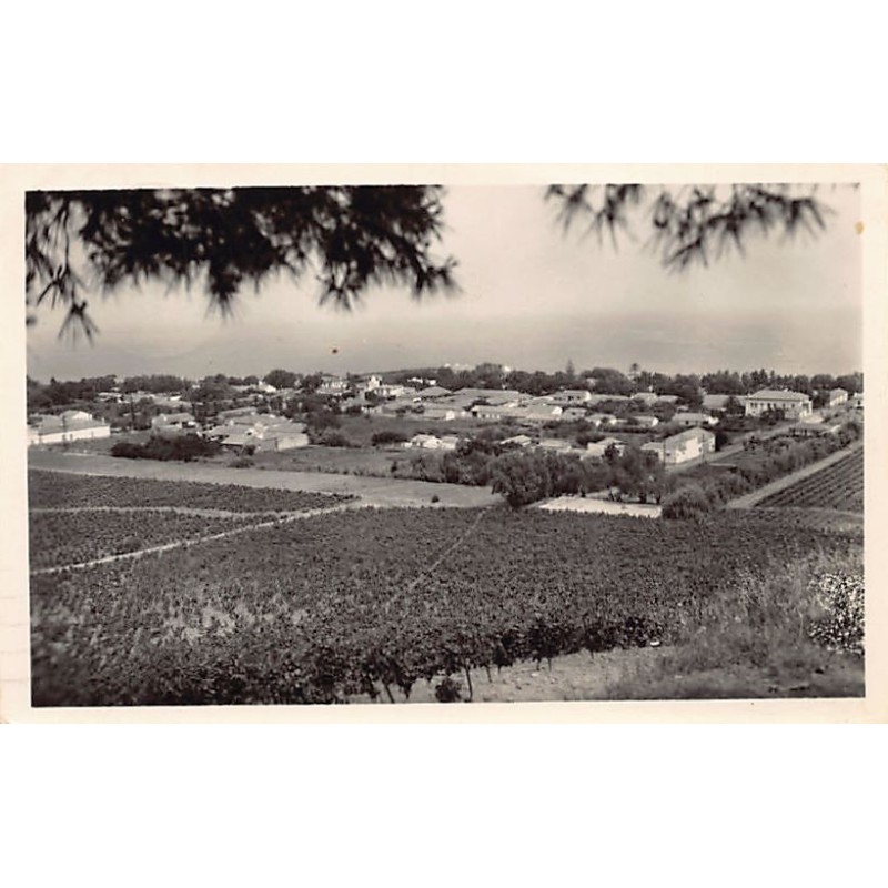 Rare collectable postcards of ALGERIA ALGÉRIE. Vintage Postcards of ALGERIA ALGÉRIE