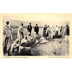 Rare collectable postcards of ALGERIA ALGÉRIE. Vintage Postcards of ALGERIA ALGÉRIE