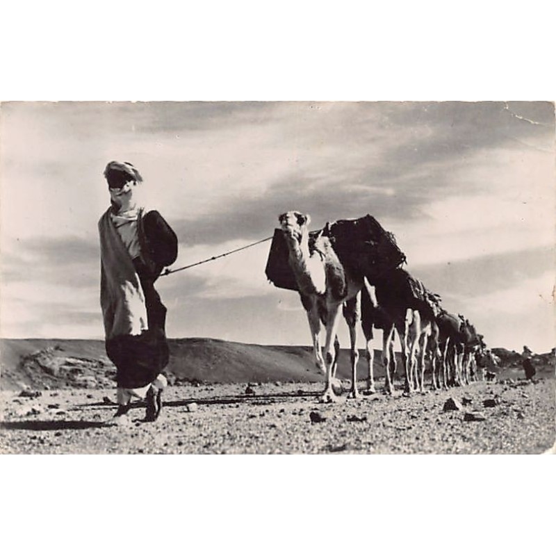 Rare collectable postcards of SAHARA. Vintage Postcards of SAHARA
