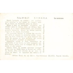 Rare collectable postcards of SAHARA. Vintage Postcards of SAHARA