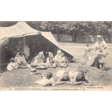 Rare collectable postcards of SAHARA. Vintage Postcards of SAHARA