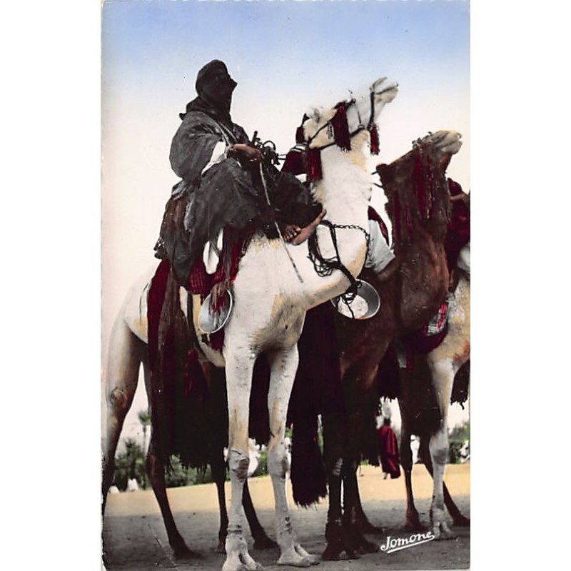 Rare collectable postcards of SAHARA. Vintage Postcards of SAHARA