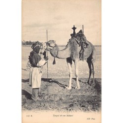 Rare collectable postcards of SAHARA. Vintage Postcards of SAHARA